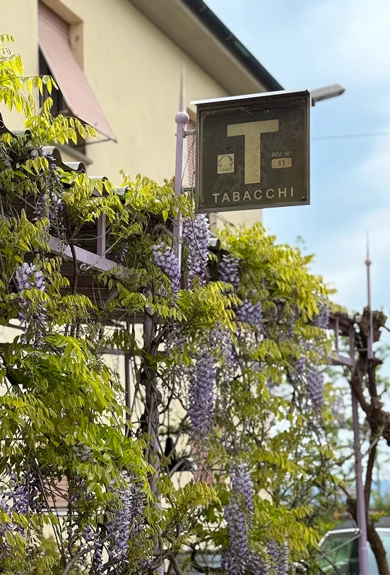 Vecchia inesgna a bandiera del tabaccaio, ancora oggi attivo da Alcide a Venturina, Toscana